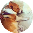 Helen Zou profile picture